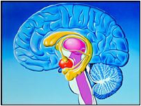 Deep brain stimulation scientific therapy