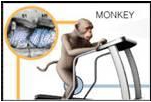 monkey remote Japan 