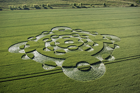 多个重叠圆形的英国麦田怪圈Lurkley Hill威尔特郡22/06/05的图片