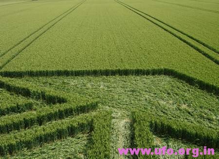 6边形内三角形构造的英国麦田怪圈Trusloe威尔特郡23/06/05的图片
