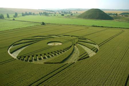 错综复杂大眼睛的几何形状的英国麦田怪圈Avebury威尔特郡09/07/05的图片