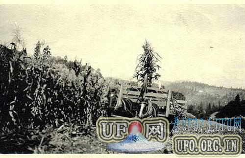 全球最经典的UFO照片（1870年-1981年）的图片 第2张