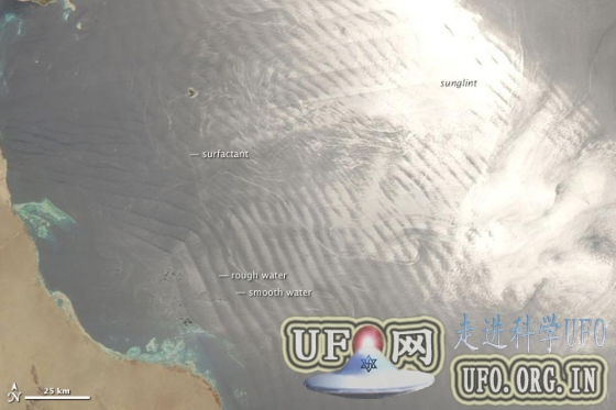 每日卫星照：红海地中海阳光下的不同景观的图片 第1张