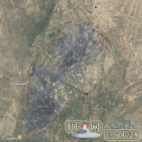 每日卫星照：美国亚利桑那州火灾烧伤斑痕的图片
