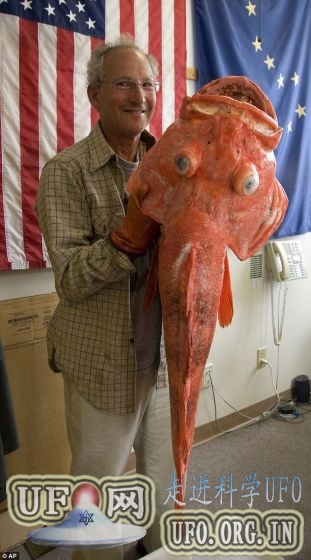 阿拉斯加渔民捕获18公斤重200岁大岩鱼(图)的图片 第2张