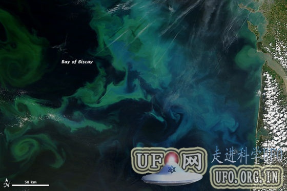 每日卫星照：法国西海岸漩涡状藻华(图)的图片 第1张