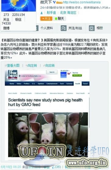 论证转基因作物影响生猪健康：洋实验有漏洞