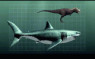史前巨齿鲨大复活：可一口咬掉霸王龙头部的图片 第2张