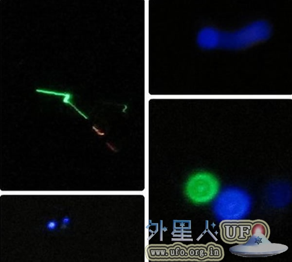 广州多名市民声称看到天空中有发光的UFO的图片 第2张
