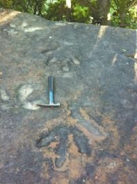 四川发现2亿年前怪兽足迹：可秒杀恐龙(图)的图片