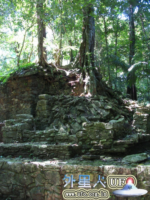16-maya-palenque-palace-ruins 第7张
