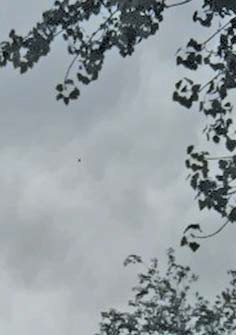 2014年10月12日济南市民称拍到了小黑点UFO的图片