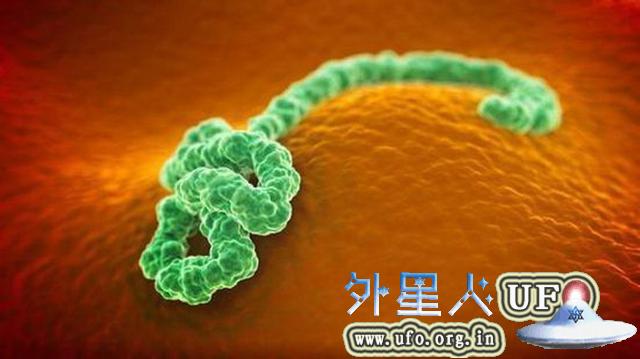 埃博拉病毒疫苗或将进入临床测试阶段