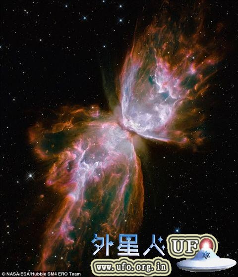 美国宇航局/欧洲航天局的哈勃太空望远镜发现的蝴蝶星云NGC 6302。NGC 6302是一个行星状星云，由濒死恒星产生，距地球大约3800光年 第1张