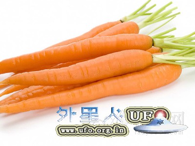 胡萝卜的8大营养功效逐个点的图片 第1张