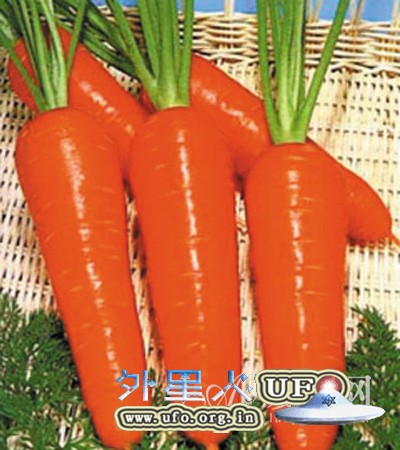 胡萝卜的8大营养功效逐个点的图片