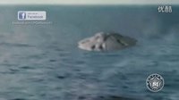 2016年6月2日美军航母太平洋发现UFO飞碟 派出直升机靠近拍摄观察的图片