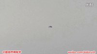 美军航母上出现的UFO的图片