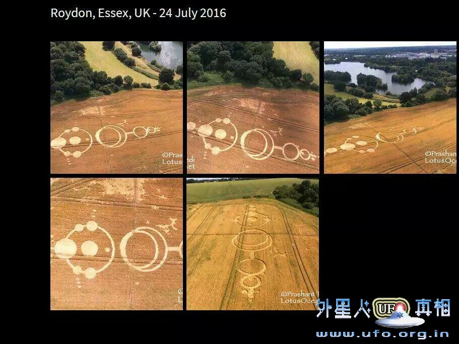 2-roydon-british-crop-circles-24-july-2016 第2张