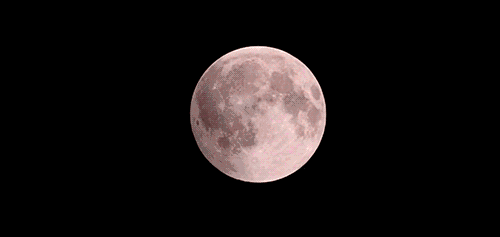 百年不遇的 3合1月亮：超级月亮 + 蓝月亮 + 红月亮