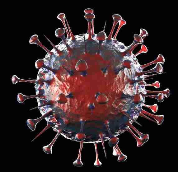 2003年非典型肺炎是怎么来的 SARS病毒由什么引起? 第4张