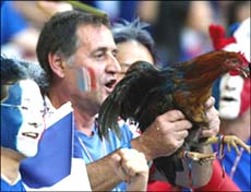 鸡也是法国世界杯足球赛的吉祥物_雷尔弥勒 第3张